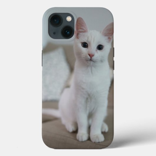 Amerikaanse witte korthaar kat Case-Mate iPhone case (Achterkant)