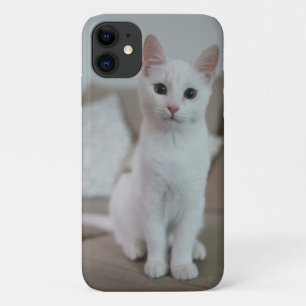 Amerikaanse witte kortharige kat iPhone 11 hoesje