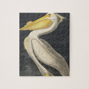 Amerikaanse Witte Pelikaan uit Birds of America Legpuzzel