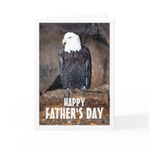 Amerikaanse Witte Zeearend in Nest