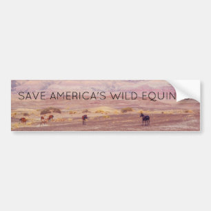 Amerikaanse woestijnpaarden P8670 Bumpersticker