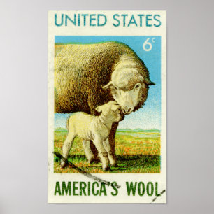 Amerikaanse wol-reendroschaap poster
