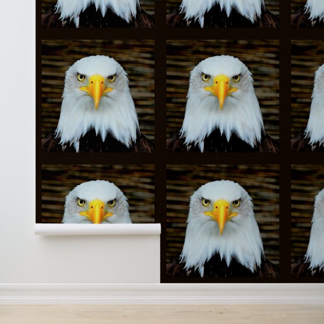 Amerikaanse Zeearend Behang (Applicatie)