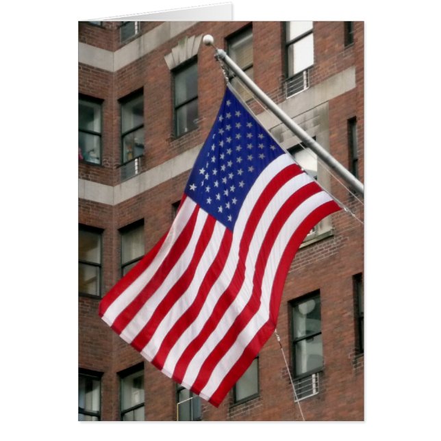 amerikaanse zeekop (Voorkant)