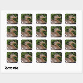 Amerikaanse zwarte Sticker (Vel)