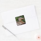 Amerikaanse zwarte Sticker (Envelop)