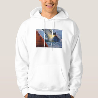 Amerika's Cup, Valencia Spanje 2007, Team New Zeal Hoodie