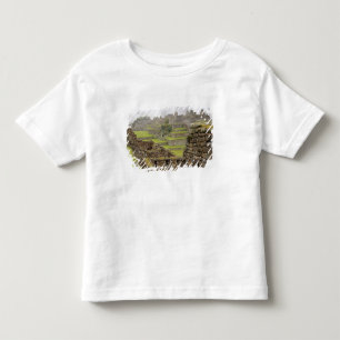 Amerika's, Peru, Machu Picchu. De oude Kinder Shirts