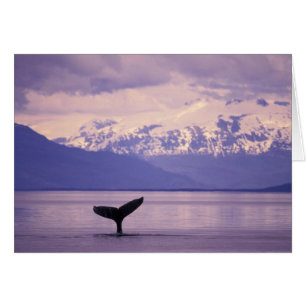 Amérique du Nord, États-Unis, Alaska, Passage Inté