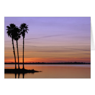 Amérique du Nord, États-Unis, Floride, Mt. Dora, u