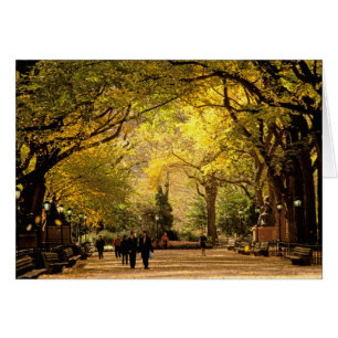 Amérique du Nord, États-Unis, New York, New York C