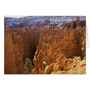 Amérique du Nord, États-Unis, Utah, Bryce Canyon 2