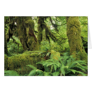 Amérique du Nord, États-Unis, Washington, Jeux oly