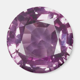 Amethyst 2 magneet