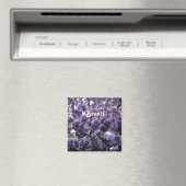 Amethyst Magneet (Insitu (Vaatwasser))