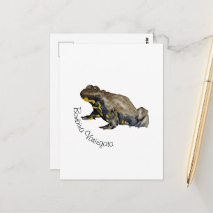 Amfibieën, reptielen & insecten aquarel briefkaart