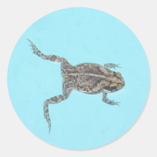 Amfibische Stickers 02