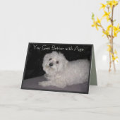 Ami maltais Souhaits Anniversaire Carte Anniversai (Fleur jaune)