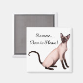 Amical Jeune Chat Siamois Magnet personnalisable (Recto/Verso)