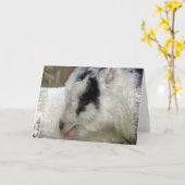 Amigo de Goat Kaart (Gele Bloem)