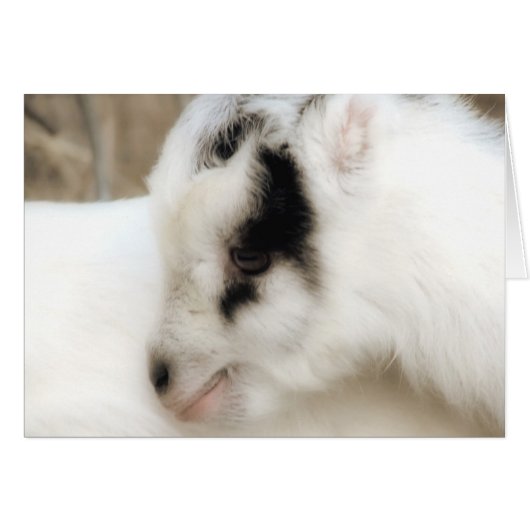 Amigo Goat Kind Alle keren Wenskaart (Voorkant Horizontaal)
