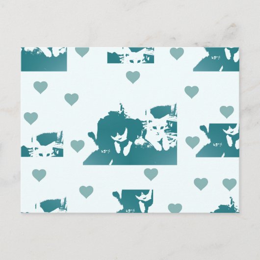 Amigos Felinos. Briefkaart (Voorkant)