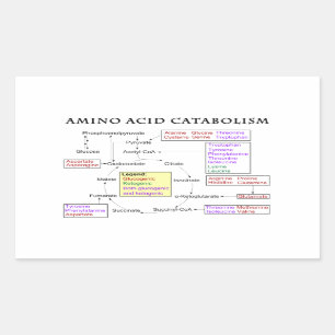 Amino-zuurstofschema Rechthoekige Sticker