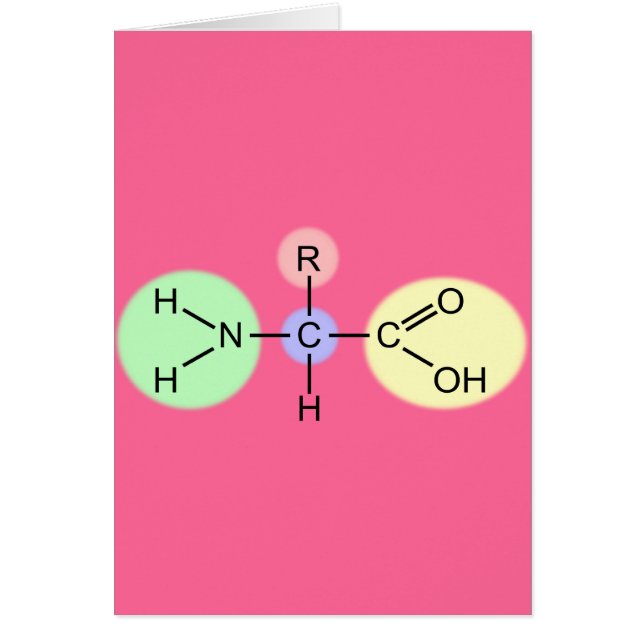 Aminozuurdiagram (Voorkant)