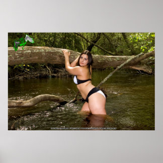 Amira Angel's Animal Shelter Fundraiser Poster