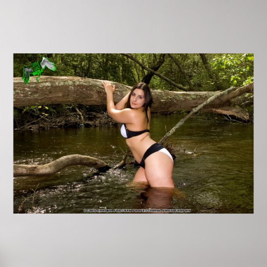 Amira Angel's Animal Shelter Fundraiser Poster (Devant)