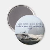 Amis aimant - motivations (Recto/Verso)