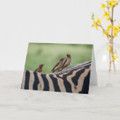 Amis : Carte de prédateurs Zebra et Ox (Fleur jaune)