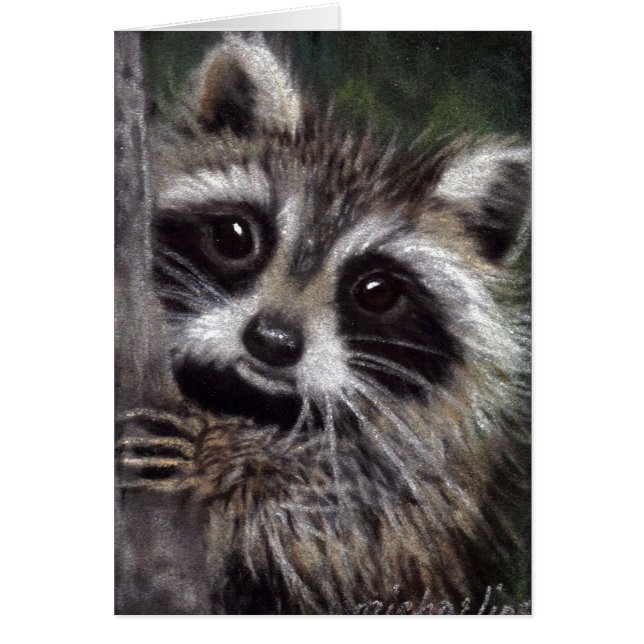Amis ? Carte Raccoon (Devant)