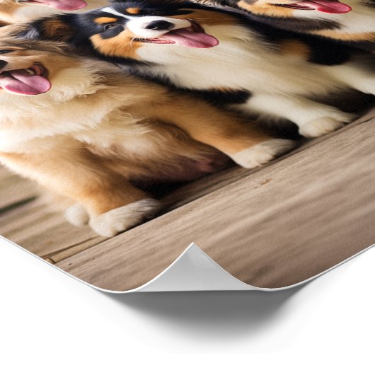Amis de quatre ans : Poster mignon chiot (Coin)