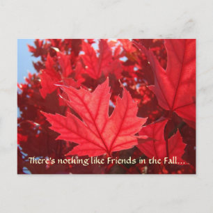 Amis en automne ! Cartes postales Feuilles d'autom