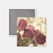 Amis Magnet (Recto/Verso)