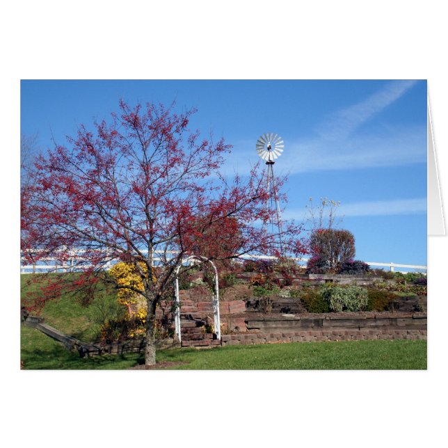 Amish Autumn Garden (Voorkant Horizontaal)