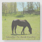 Amish Beauful Horse! Stenen Onderzetter (Voorkant)