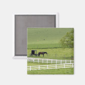 Amish boerderij met paard en buggy bij Berlijn, Magneet (Voorkant / Achterkant)