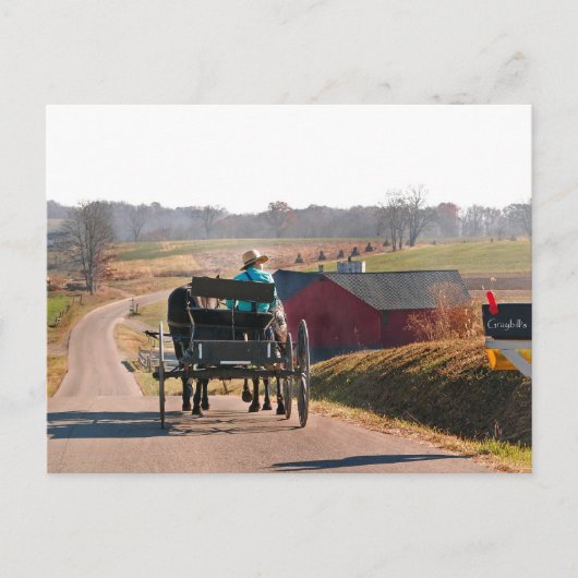 Amish Boy Drift Open Buggy Briefkaart (Voorkant)