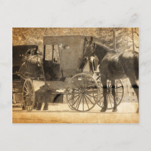 Amish brengt 'n nieuw paard naar huis. briefkaart