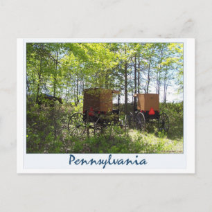 Amish Buggies Briefkaart