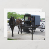 Amish Buggy Briefkaart (Voorkant / Achterkant)
