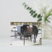 Amish Buggy Briefkaart (Staand voorkant)