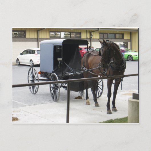 Amish Buggy Briefkaart (Voorkant)