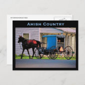 Amish Buggy Briefkaart (Voorkant / Achterkant)