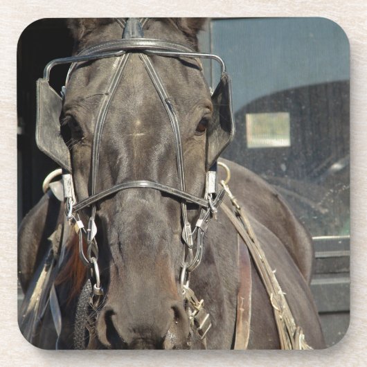 Amish Buggy Horse Bier Onderzetter (Voorkant)