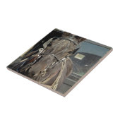 Amish Buggy Horse Tegeltje (Zijkant)