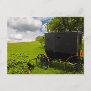 Amish Buggy in Hillside Boerderij Briefkaart