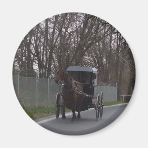 Amish Buggy Magneet